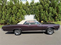 1967 Pontiac GTO (CC-2095497) for sale in Milford City, Connecticut