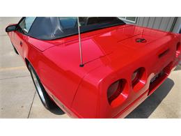 1994 Chevrolet Corvette (CC-2095548) for sale in Sioux Falls, South Dakota