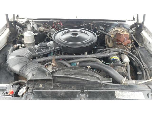 1978 Chevrolet Nova (CC-2095550) for sale in Colombus, Ohio