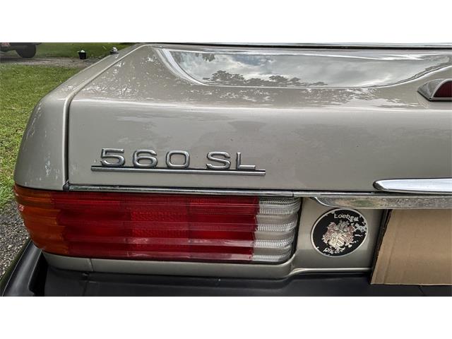 1987 Mercedes-Benz 560SL (CC-2095564) for sale in Barrington, Illinois