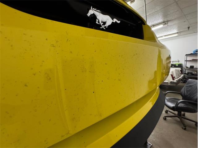 2000 Ford Mustang (CC-2095571) for sale in Morgantown, Pennsylvania