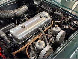 1956 Austin-Healey 100-4 (CC-2095579) for sale in Morgantown, Pennsylvania