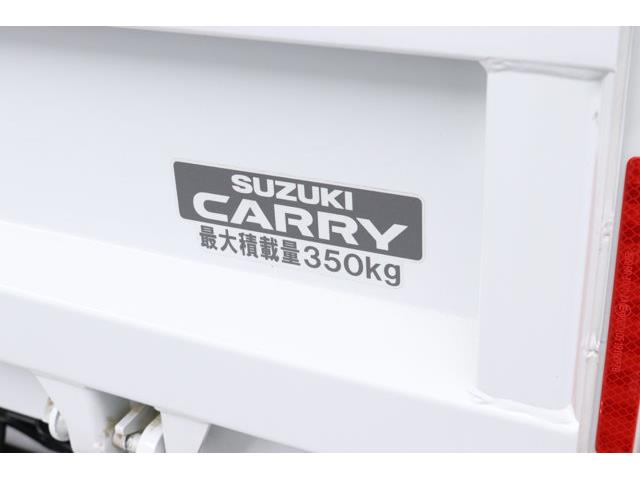 2025 Suzuki Carry (CC-2095611) for sale in Christiansburg, Virginia