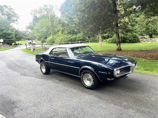 1968 Pontiac Firebird (CC-2095619) for sale in Hingham, Massachusetts