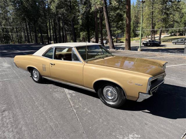 1967 Pontiac LeMans (CC-2095622) for sale in Reno, Nevada