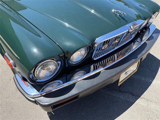1986 Jaguar XJ6 (CC-2095658) for sale in Spring Valley, California