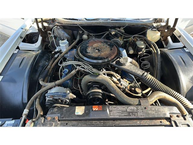 1976 Cadillac Eldorado (CC-2095667) for sale in Billings, Montana