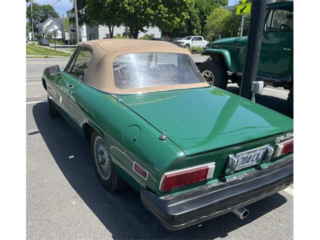 1979 Alfa Romeo Spider (CC-2095721) for sale in Owls Head, Maine