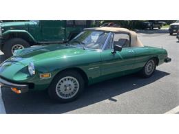 1979 Alfa Romeo Spider (CC-2095721) for sale in Owls Head, Maine