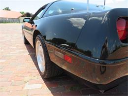 1992 Chevrolet Corvette (CC-2090573) for sale in Apopka, Florida