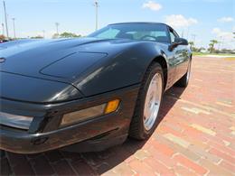 1992 Chevrolet Corvette (CC-2090573) for sale in Apopka, Florida