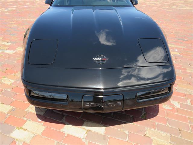 1992 Chevrolet Corvette (CC-2090573) for sale in Apopka, Florida