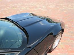 1992 Chevrolet Corvette (CC-2090573) for sale in Apopka, Florida