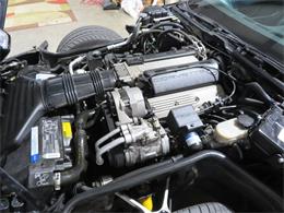 1992 Chevrolet Corvette (CC-2090573) for sale in Apopka, Florida