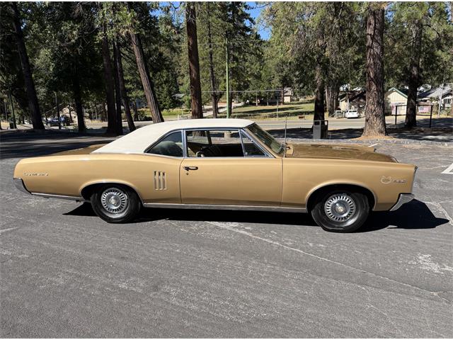 1967 Pontiac LeMans (CC-2095821) for sale in Grass Valley, California