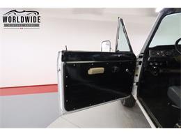 1976 International Scout (CC-2095845) for sale in Denver , Colorado