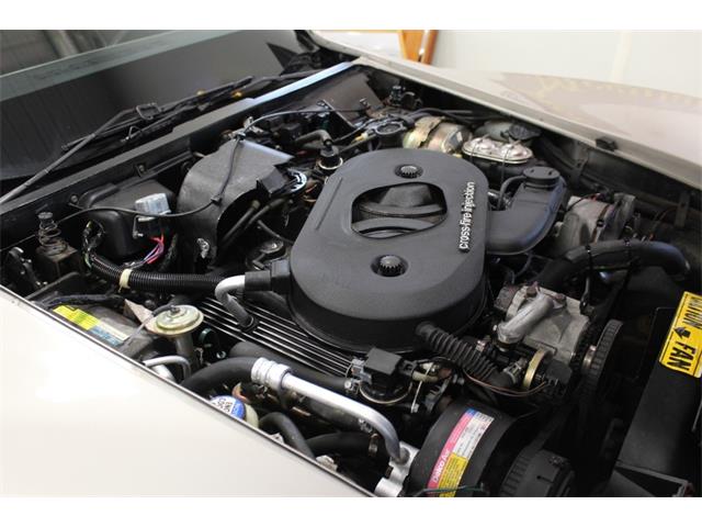 1982 Chevrolet Corvette C3 (Collector's Edition) (CC-2090586) for sale in Sioux Falls, South Dakota