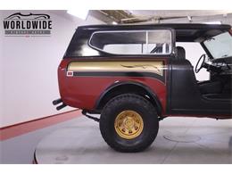 1979 International Scout (CC-2095888) for sale in Denver , Colorado
