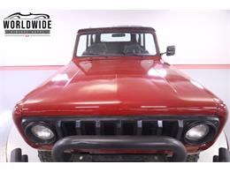 1979 International Scout (CC-2095888) for sale in Denver , Colorado
