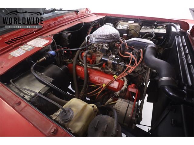 1979 International Scout (CC-2095888) for sale in Denver , Colorado