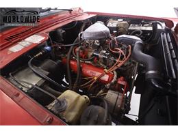 1979 International Scout (CC-2095888) for sale in Denver , Colorado