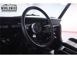1979 International Scout (CC-2095888) for sale in Denver , Colorado