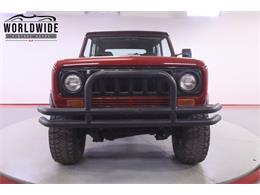 1979 International Scout (CC-2095888) for sale in Denver , Colorado