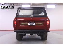 1979 International Scout (CC-2095888) for sale in Denver , Colorado