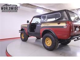 1979 International Scout (CC-2095888) for sale in Denver , Colorado