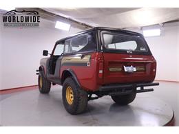 1979 International Scout (CC-2095888) for sale in Denver , Colorado