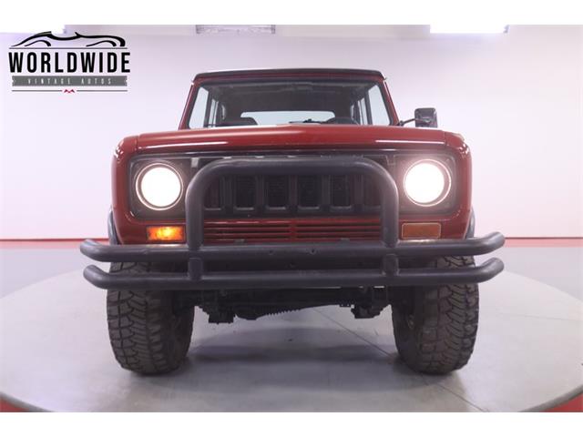 1979 International Scout (CC-2095888) for sale in Denver , Colorado