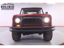 1979 International Scout (CC-2095888) for sale in Denver , Colorado