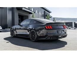 2016 Shelby Mustang (CC-2095978) for sale in Reno, Nevada