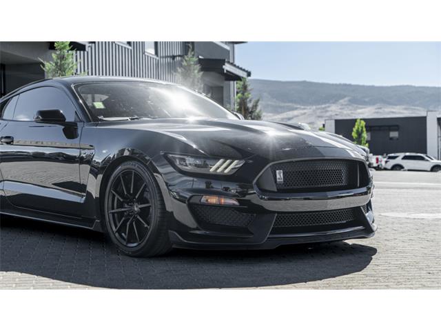 2016 Shelby Mustang (CC-2095978) for sale in Reno, Nevada