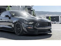 2016 Shelby Mustang (CC-2095978) for sale in Reno, Nevada