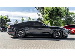 2016 Shelby Mustang (CC-2095978) for sale in Reno, Nevada