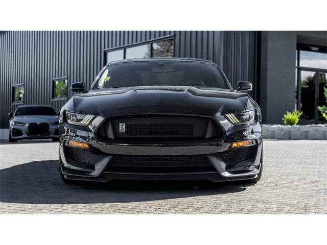 2016 Shelby Mustang (CC-2095978) for sale in Reno, Nevada