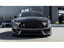 2016 Shelby Mustang (CC-2095978) for sale in Reno, Nevada