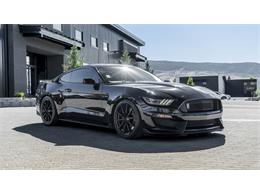 2016 Shelby Mustang (CC-2095978) for sale in Reno, Nevada