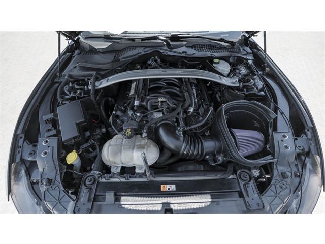 2016 Shelby Mustang (CC-2095978) for sale in Reno, Nevada