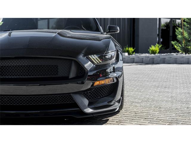 2016 Shelby Mustang (CC-2095978) for sale in Reno, Nevada