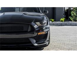 2016 Shelby Mustang (CC-2095978) for sale in Reno, Nevada