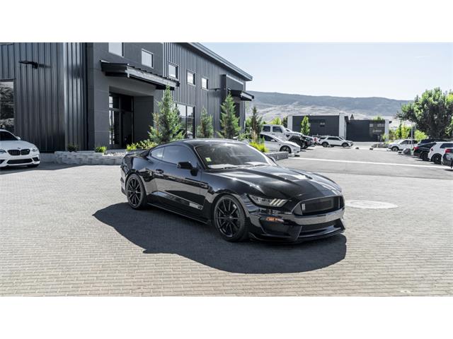 2016 Shelby Mustang (CC-2095978) for sale in Reno, Nevada