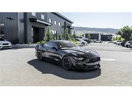 2016 Shelby Mustang (CC-2095978) for sale in Reno, Nevada