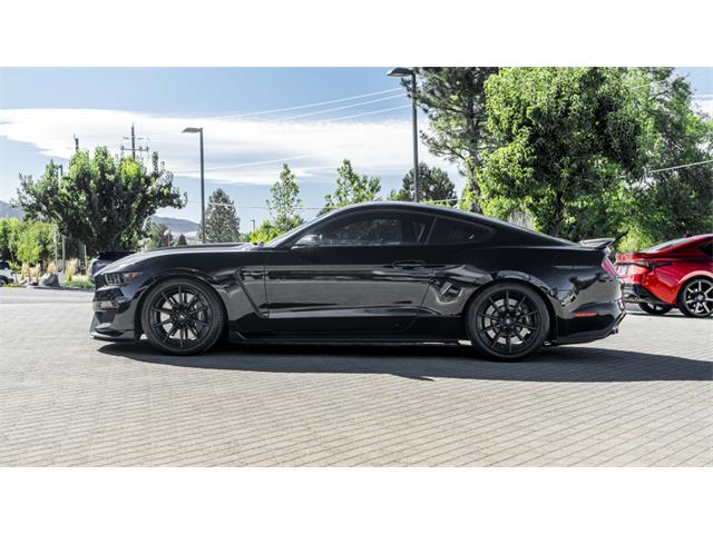 2016 Shelby Mustang (CC-2095978) for sale in Reno, Nevada