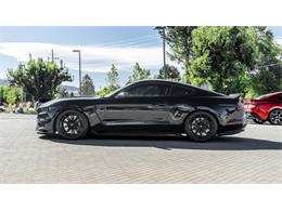 2016 Shelby Mustang (CC-2095978) for sale in Reno, Nevada