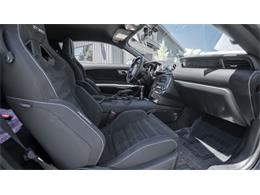 2016 Shelby Mustang (CC-2095978) for sale in Reno, Nevada