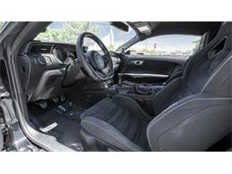 2016 Shelby Mustang (CC-2095978) for sale in Reno, Nevada