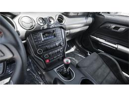 2016 Shelby Mustang (CC-2095978) for sale in Reno, Nevada