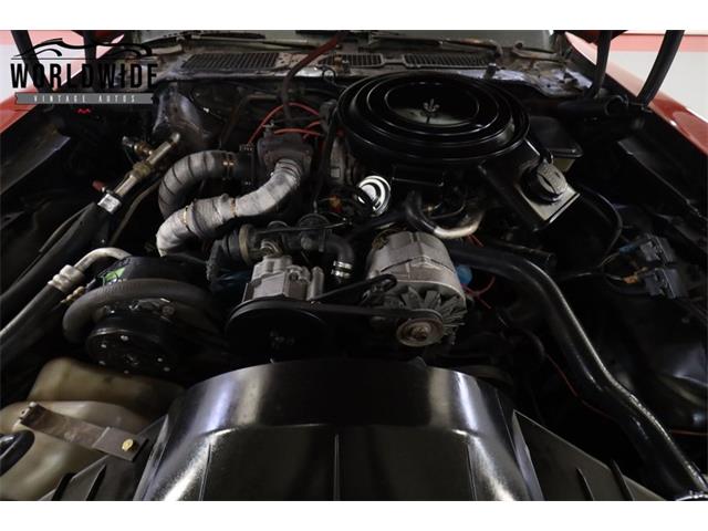 1981 Pontiac Firebird Trans Am (CC-2095991) for sale in Denver , Colorado